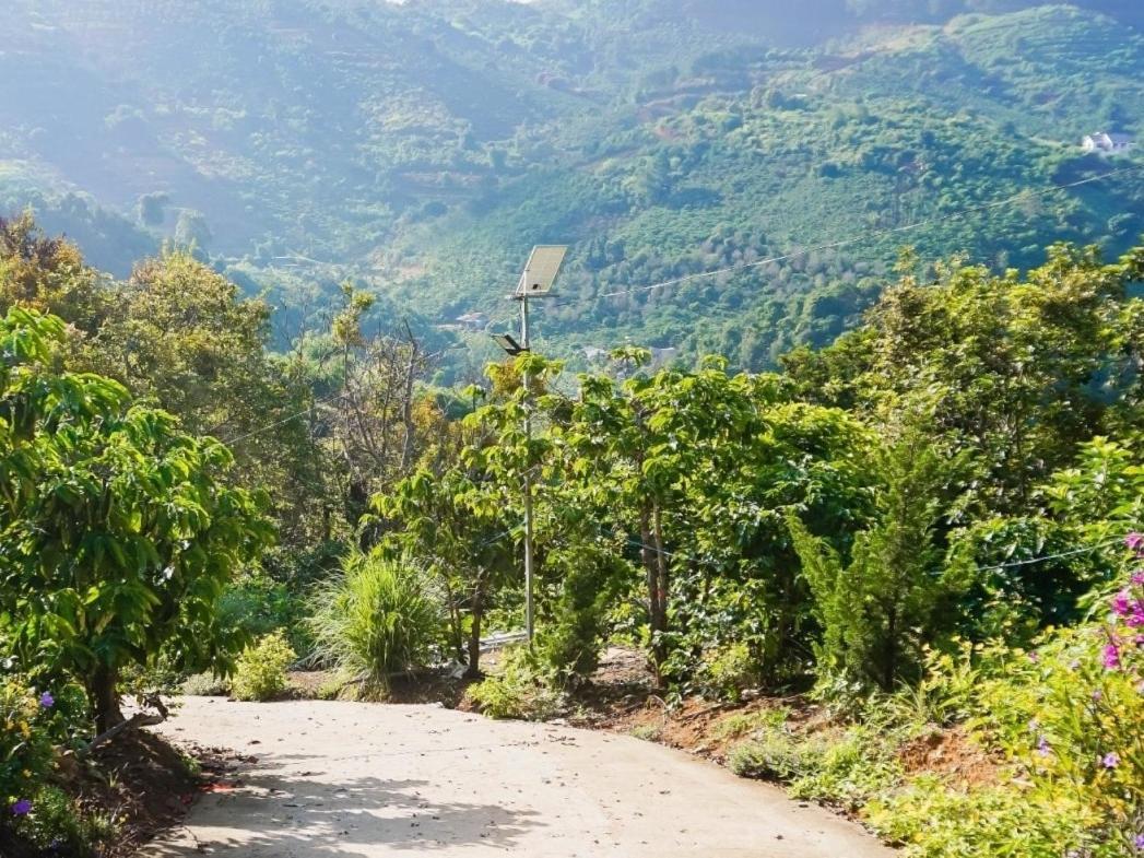 Farm Co Chu Tuan Ha Bed & Breakfast Dalat Bagian luar foto