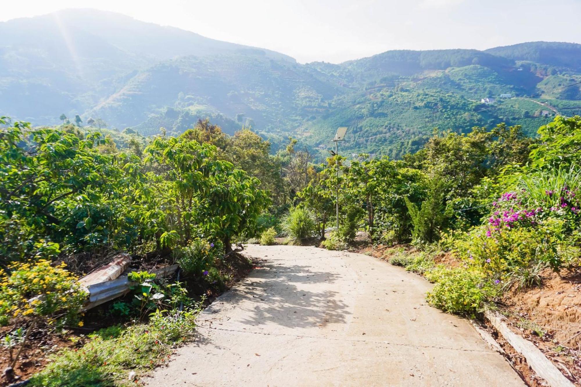 Farm Co Chu Tuan Ha Bed & Breakfast Dalat Bagian luar foto